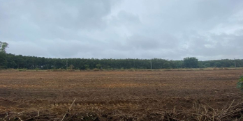 Bán đất 20x25 ấp 2 xã An viễn trảng bom