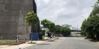 Bán 80m2 đất đấu giá Phương Canh gần mặt đường Trịnh Văn Bô, quận Nam Từ Liêm