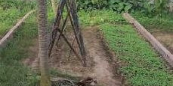 Bán đất Phương Canh Nam Từ Liêm DT 43m2 x MT 4,5m chỉ 41tr/m2