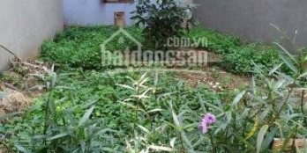 Bán mảnh đất vàng cuối cùng Mễ Trì, Mỹ Đình, 40m2, giá 2.6 tỷ