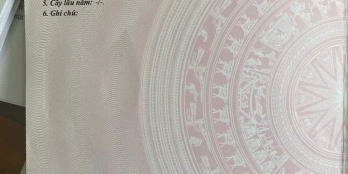 Cần bán 1 lô còn xót lại ngay cây xăng hùng.  Đường conterner xe tải đi vi vu