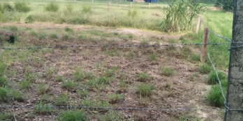 Bán lô đất vườn trong sổ 1418m2 ngoài 1600m2 thôn Bình An 2 xã phước thành