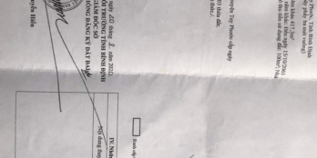 Cần bán nhanh lô đất ở xã Phước Hoà - Tuy Phước, lô đất đẹp nhìn mê ngay