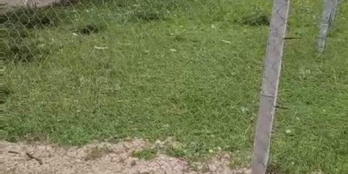 ⭐️bán nhanh lô xa phuoc my huyen tuy phuoc thôn Thanh Long