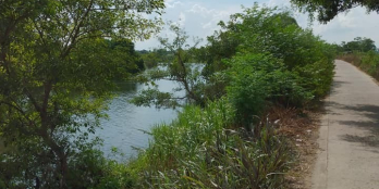 Cần bán gấp lô đất view sông, phước hòa tuy phước bình định giá siêu mềm