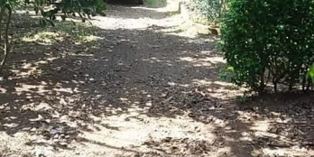 Cần Bán Lô Đất Vườn + 50m2 thổ . Gần chợ gần trường .