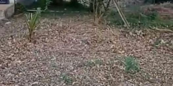 Bán 3 lô liền kề tổng dt 450 ngang 15m có 300m2 thổ cư 150m2 vườn đất vuông vắn