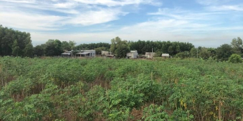 Chủ Ngộp cần bán nhanh trong tuần  . Dt : 7xao2 (7200m2 )