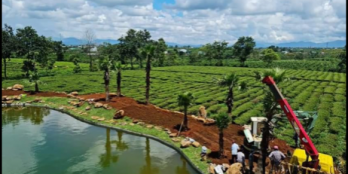 Cần bán đất hẻm 41 Lạc Long Quân_Lộc Thắng, chỗ 3 con voi rẽ trái, giá F0, đường