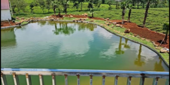 đường nhựa 5m, sát khu sinh thái. ? Lô 3 : S : 10×20(80m²tc), #giá950tr (thươn