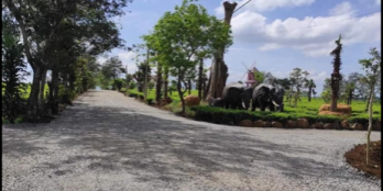 Chủ #ngộp cần bán....k có lô nào rẻ hơn lô này đâu khách ơi....nhanh tay nào...