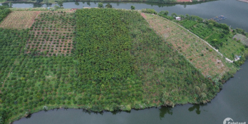 Cần bán gấp 3.2 sào đất Hồ Lộc Tân, 1.1tr/m2, SHR