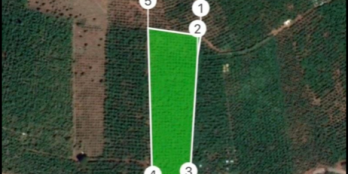 Gia đình cần tiền bán lô đất nghỉ dưỡng view hồ Đăklé Diện tích : 8400m2 sẵn 400