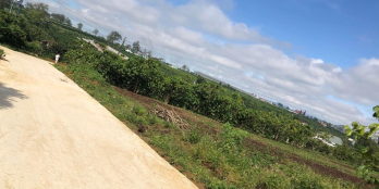 lô đất hẻm 1009 nguyễn văn cừ thông hẻm 1087 Dt:25*30 150tr/m thương lượng