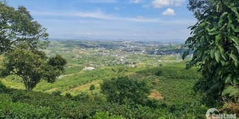 4Sào9 (4900m2) Ỷ LAN - ĐẠI LÀO - TP BẢO LỘC Thế đất cao View toàn thành phố Đườn