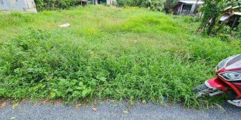 Anh chủ cần bán gấp miếng đất nền cao bằng lộ