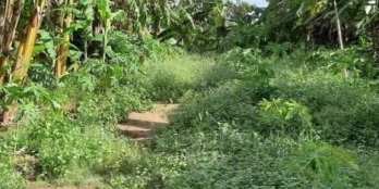 Nền khu công an phường đông thuận gần công an trạm y tế ủy ban trường học