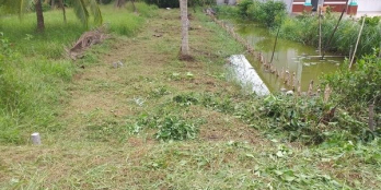 iá ngộp mùa dịch ah.....  cần ra gấp....