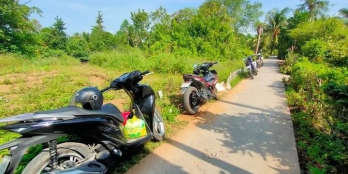 NỀN LIỀN KỀ 2 MẶT TIỀN GIÁ RẺ :  DIỆN TÍCH : 5,5x20 có 100m thổ / nền