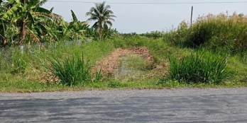 Bán đất quốc lộ 54 diện tích 11,8x95 có 139m2 thổ cư.