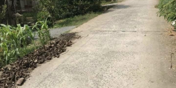 Bán nền KCD Thuận Nghĩa, Thuận An, Bình Minh, Vinh long.  sổ hồng có sẳn