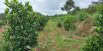 CHÍNH CHỦ CẦN BÁN 4,4 SÀO ĐẤT HOÀ THẮNG VIEW SUỐI BÊN CẠNH SÂN BAY BMT