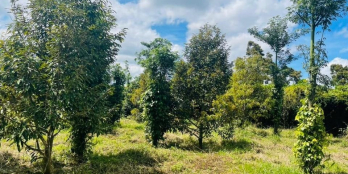 SIÊU PHẨM ĐẤT SÀO HẺM NGUYỄN XUÂN NGUYÊN—THÔNG VÀNH ĐAI QL 14-26