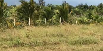 BÁN 2,5 SÀO ĐẤT HOÀ KHÁNH-NẰM TRÊN ĐƯỜNG VÀO ĐỒI NHẤT TRÍ