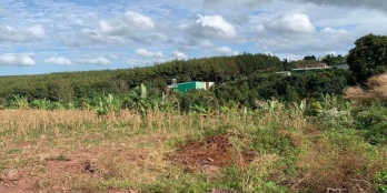 Bán nhanh 2,2 sào đất P.Tân Lợi quy hoạch góc 2 mặt tiền