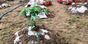 Đất nền Bà Huê, xã Hòa Khánh cần bán gấp