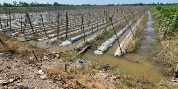 Bán 7 công đất tại ấp Mỹ Chánh 5, xã Hậu Mỹ Bắc A, Cái Bè