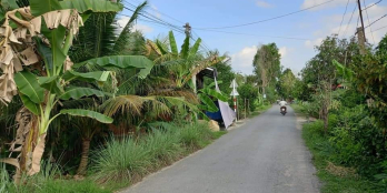 Cần bán 2 nền mặt tiền đường bà Huê, ấp Bà Phúc, Xã Hoà Khánh