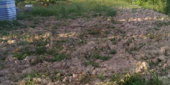 Bán nền Cai Lậy, Ngũ Hiệp  Ấp Hòa Thịnh cách phà Tam Bình 500m