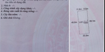 Đất lúa ngã tư Chợ Trạm Cần Đước 2100m2, đường ô tô tới đất Sổ riêng sang tên ng