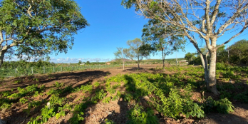 BÁN ĐẤT GẦN HỒ ĐÁ BÀNG - CHÂU ĐỨC