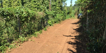 ĐẤT SÀO ĐÁ BẠC 2000M2 -GIÁ CỰC TỐT