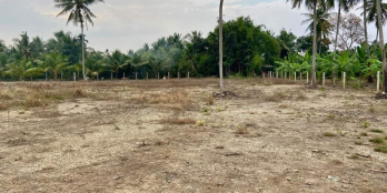 BÁN ĐẤT THÂN CỬU NGHĨA,CHÂU THÀNH,TIỀN GIANG ĐƯỜNG NHỰA 5M