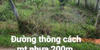 Bán 900m2 đất Long Bình Điền Chợ Gạo đang trồng bưởi