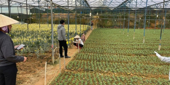 Bán đất an sơn phường 4 tp đà lạt. Diễn tích : 230m2. Pháp lý đất nôngngiệp, gí