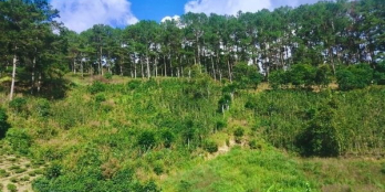 Bán 5688m2 Đất View Thung Lũng Rừng thông Xuân Trường Đà lạt Giá bán  1 tỷ/ 1000