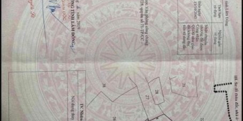 cần bán đất thôn  Xuân Sơn, xã Xuân Trường, TP. Đà Lạt.