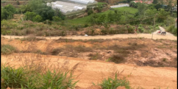 Bán đất đường Trần Thái Tông, TP Đà Lạt --Dt : 4.113 m2 đã chia nhiều thửa! Mỗi