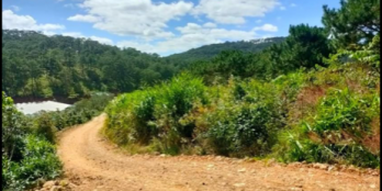 Đất đẹp cho các nhà đầu tư ️️ Cần bán 2 hecta đất nông nghiệp xuân thọ Thành p