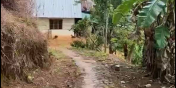 BÁN ĐẤT ĐẸP KHE XANH p 10 , dà lạt  Diện tích 2010m2, thực tế 3700m2 Trong đó xd