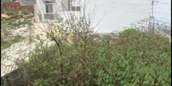 BÁN LÔ ĐẤT MẶT TIỀN ĐƯỜNG Đa Minh P5 Đà Lạt Diện tích 83m2, Srxd. mật độ xdlk 8