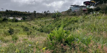 góc bán đất nông nghiệp ĐẤT XUÂN TRƯỜNG  diện tích : 1000 m2 chỉ với 6ty\