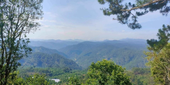 đất nông nghiệp xã Xuân Trường Diện tích 1ha (10.000m) Vi trí ngay khu săn mây đ