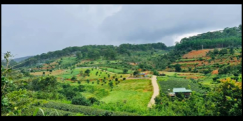 Đất view nghỉ dưỡng tại Xuân Trường - Đà Lạt  Diện tích : 1830m2 ngang 26x57 Sổ