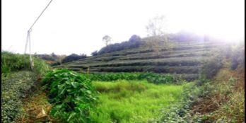 ĐẤT VIEW ĐẸP , XUÂN TRƯỜNG , ĐÀ LẠT - Diện tích 3473 m2 có 400 m2 đất xây dựng -