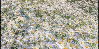 Ngay quốc lộ dễ kinh doanh buôn bán, gần cây xăng, cách trung tâm xã TN 150m. 